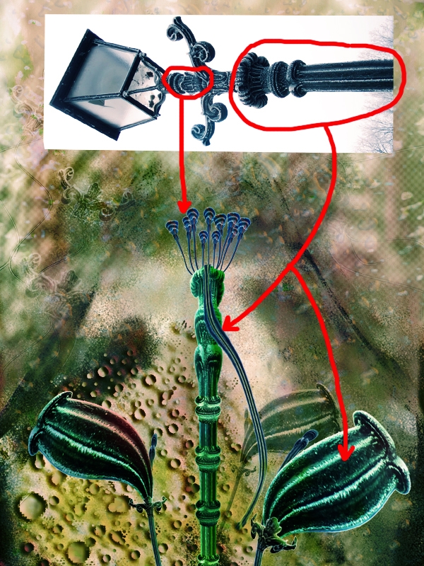 Creation of Rest: Step 5